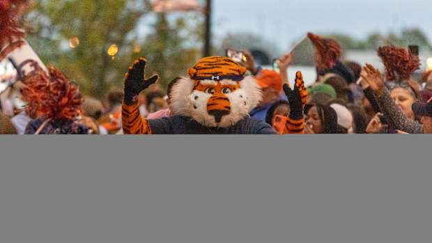 Aubie